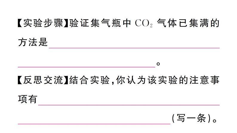 初中化学新人教版九年级上册第六单元实验活动三 二氧化碳的实验室制取与性质作业课件(2024秋)第5页