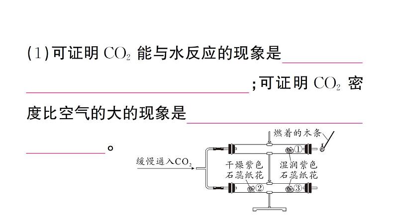 初中化学新人教版九年级上册第六单元实验活动三 二氧化碳的实验室制取与性质作业课件(2024秋)第8页