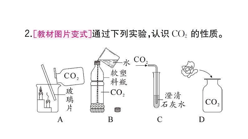 初中化学新人教版九年级上册第六单元课题2第一课时 二氧化碳作业课件(2024秋)04