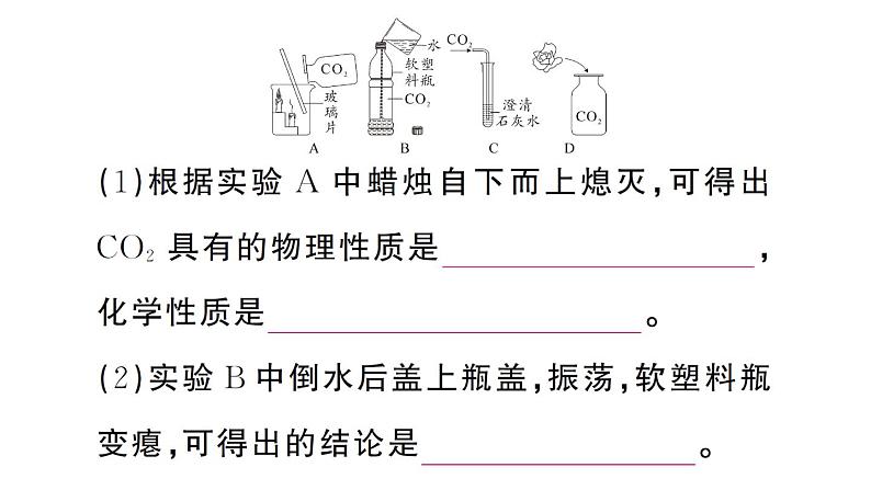 初中化学新人教版九年级上册第六单元课题2第一课时 二氧化碳作业课件(2024秋)05