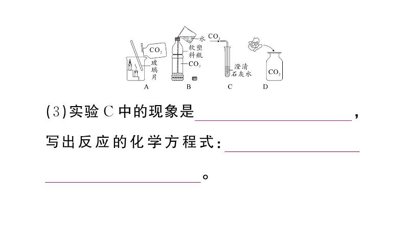 初中化学新人教版九年级上册第六单元课题2第一课时 二氧化碳作业课件(2024秋)06