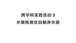 初中化学新人教版九年级上册第四单元跨学科实践活动三 水质检测及自制净水器作业课件2024秋