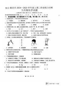 重庆市巴南区市实验集团2024-2025学年九年级上学期11月月考化学试题