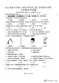 重庆市巴南区市实验集团2024-2025学年九年级上学期11月月考化学试题