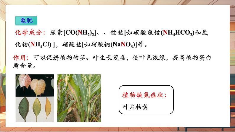 【新教材核心素养】人教版化学九年级下册第10单元课题3 常见的盐 第3课时 化肥(课件+教学设计)05