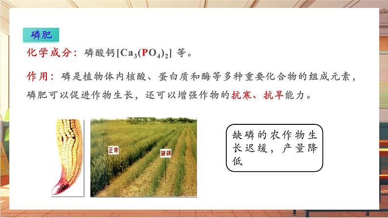 【新教材核心素养】人教版化学九年级下册第10单元课题3 常见的盐 第3课时 化肥(课件+教学设计)06
