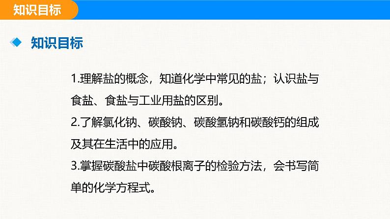 人教版(2024)九年级化学下册课件 第十单元 课题3 常见的盐 第一课时第3页