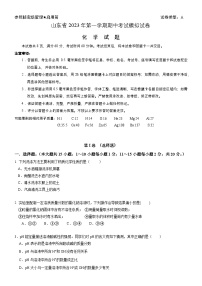 山东省淄博市2023-2024学年九年级上学期期中考试化学试卷