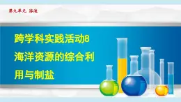 跨学科实践活动8 海洋资源的综合利用与制盐 课件---2024--2025学年九年级化学人教版（2024）下册