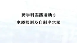 2024-2025人教版（2024）初中化学九年级上册 第四单元 跨学科实践活动3 水质检测及自制净水器课件