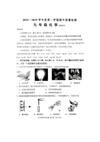 山东省济南市槐荫区2024-2025学年九年级上学期期中考试化学试卷