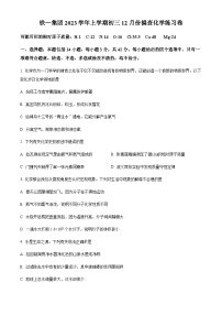 广东省广州市铁一教育集团2023-2024学年九年级上学期12月月考化学试题（含答案）
