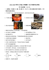 广东省惠州市惠城区部分学校2024-2025学年九年级上学期第一次月考联考化学试卷（原卷版）-A4