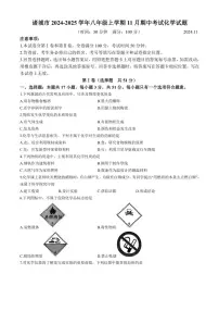 2024~2025学年山东省潍坊市诸城市八年级(上)期中化学试卷(含答案)