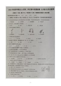 云南省文山市第二学区2024-2025学年九年级上学期11月期中化学试题