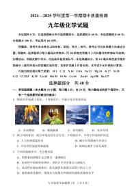 山东省济南市东南片区2024-2025学年九年级上学期期中考试化学试题