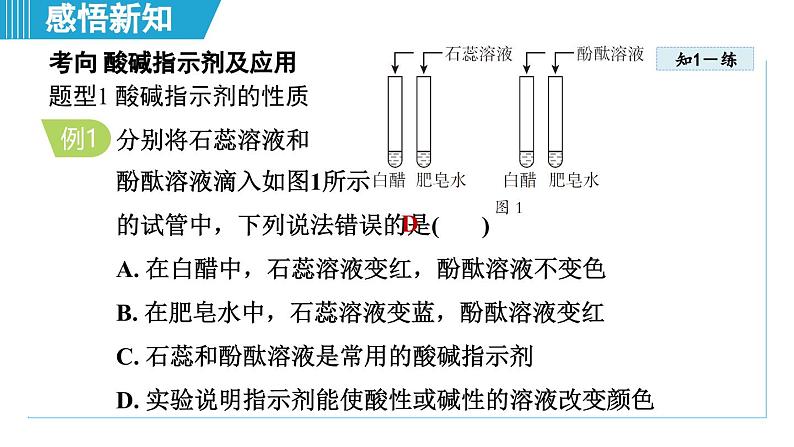 10.1 溶液的酸碱性 课件---2024--2025学年九年级化学人教版(2024)下册第6页