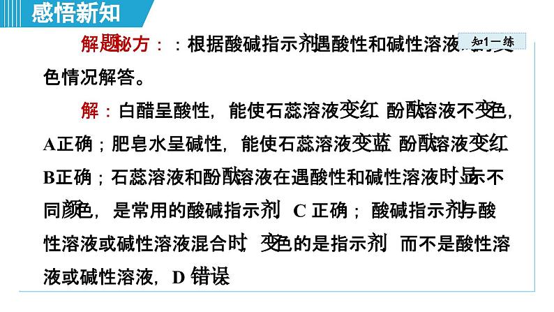 10.1 溶液的酸碱性 课件---2024--2025学年九年级化学人教版(2024)下册第7页