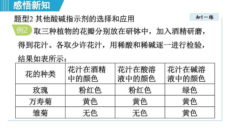 10.1 溶液的酸碱性 课件---2024--2025学年九年级化学人教版(2024)下册第8页