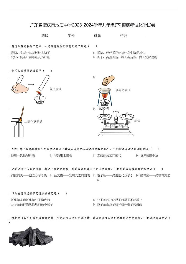 广东省肇庆市地质中学2023-2024学年九年级(下)摸底考试化学试卷(含解析)第1页
