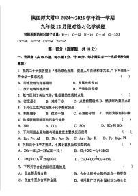 陕西省陕西师范大学附属中学2024-2025学年九年级上学期12月月考化学试题