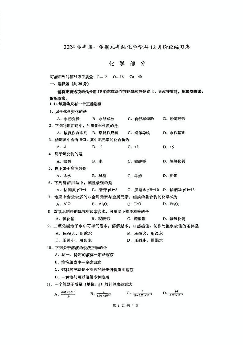上海市普陀区教育学院附属中学2024-2025学年九年级上学期12月月考化学试卷第1页
