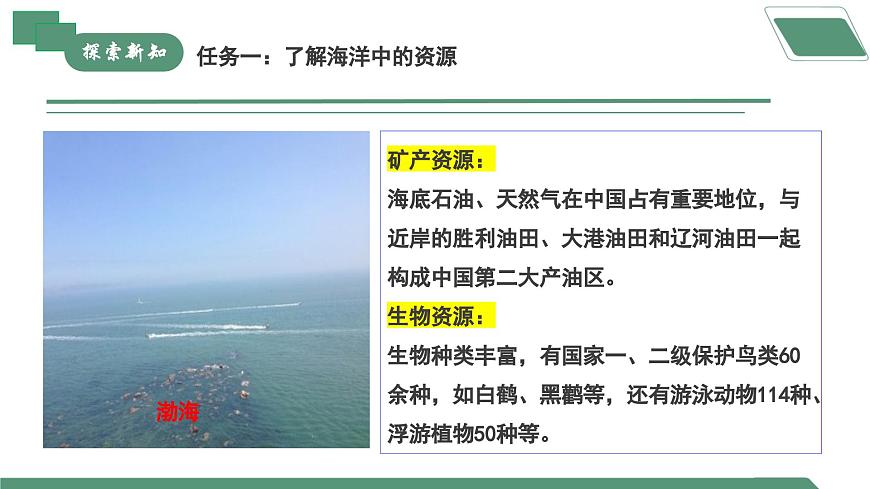 【核心素養(yǎng)】《跨學(xué)科實(shí)踐活動(dòng)8海洋資源的綜合利用與制鹽》課件PPT第7頁