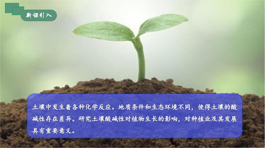 【核心素養(yǎng)】《跨學(xué)科實(shí)踐活動(dòng)9探究土壤酸堿性對(duì)植物生長(zhǎng)的影響》課件PPT第3頁