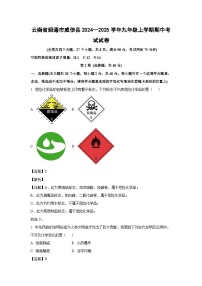 2024--2025学年云南省昭通市威信县九年级(上)期中考试化学试卷(解析版)