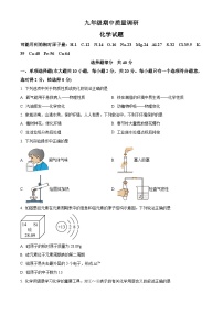 山东省济南市济阳区2024--2025学年九年级上学期期中考试化学试题