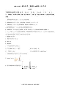 2024～2025学年广东省阳江市第二中学九年级(上)第二次月考化学试卷(含答案)
