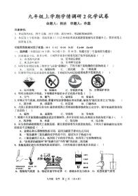 河南省实验中学2024-2025学年九年级上学期12月月考化学试题