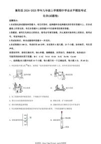2024～2025学年湖南省衡阳市衡阳县九年级(上)期中学业水平模拟考试化学试卷(含答案)