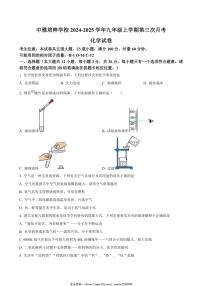 2024～2025学年湖南省长沙市中雅培粹学校九年级(上)第三次月考化学试卷(含答案)