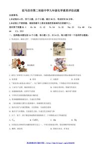 2024~2025学年河南省驻马店市第二初级中学九年级(上)12月月考化学试卷(含答案)