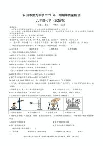 湖南省永州市第九中学2024-2025学年九年级上学期期中考试化学试题