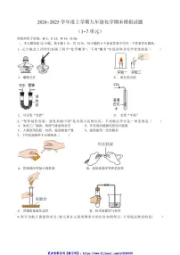 2024_2025学年安徽省合肥市第四十中学九年级(上)化学期末模拟试卷(含答案)