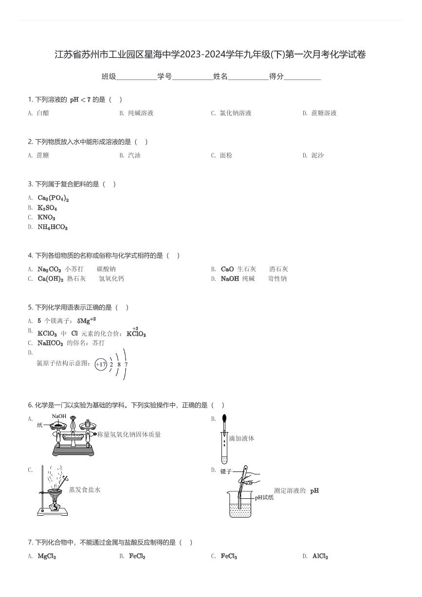 江苏省苏州市工业园区星海中学2023-2024学年九年级(下)第一次月考化学试卷(含解析)