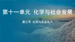 鲁教版（2024）初中化学九年级下册--11.3 化学与农业生产（课件）