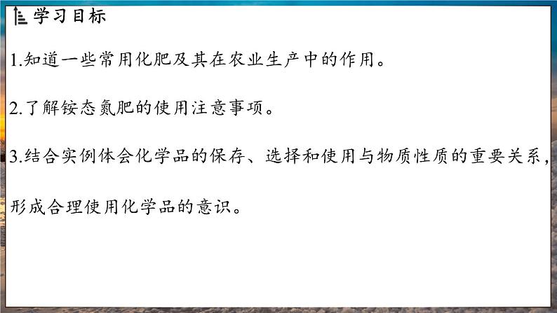 鲁教版(2024)初中化学九年级下册--11.3 化学与农业生产(课件)第2页