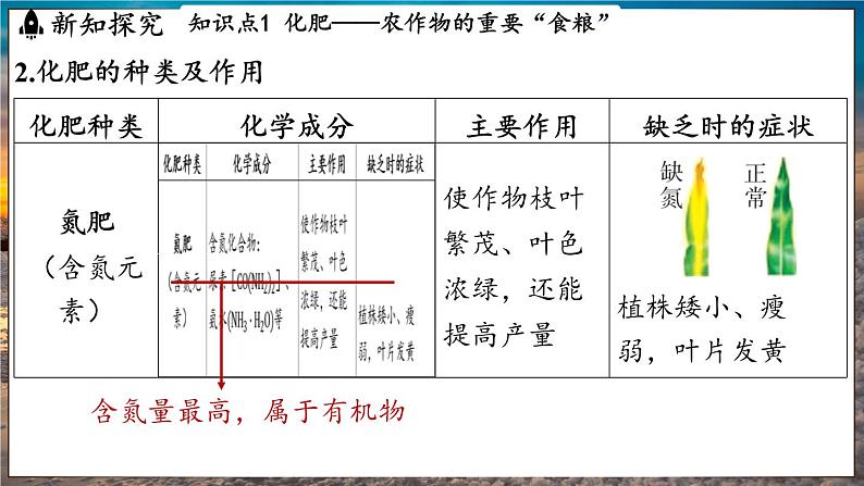 鲁教版(2024)初中化学九年级下册--11.3 化学与农业生产(课件)第4页