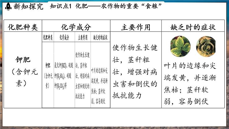 鲁教版(2024)初中化学九年级下册--11.3 化学与农业生产(课件)第6页