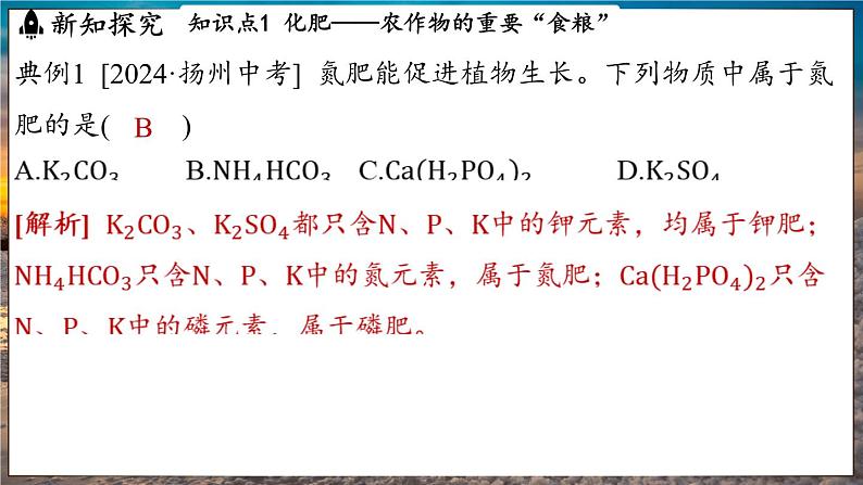 鲁教版(2024)初中化学九年级下册--11.3 化学与农业生产(课件)第8页