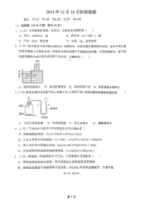 山东省淄博市张店区第九中学2024-2025学年九年级（五四学制）上学期12月月考化学试题