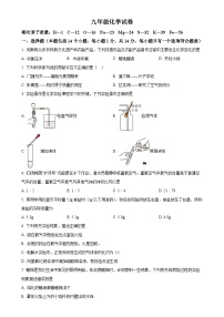 河南省洛阳市老城区2024-2025学年九年级上学期11月期中考试化学试题（原卷版）-A4