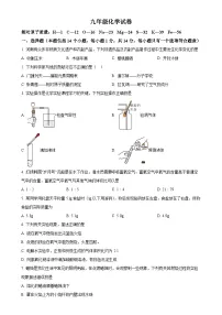 河南省洛阳市老城区2024-2025学年九年级上学期11月期中考试化学试题（原卷版）-A4