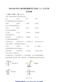 2024～2025学年上海市浦东惠南学区九年级(上)月考化学试卷(12月份)(含答案)