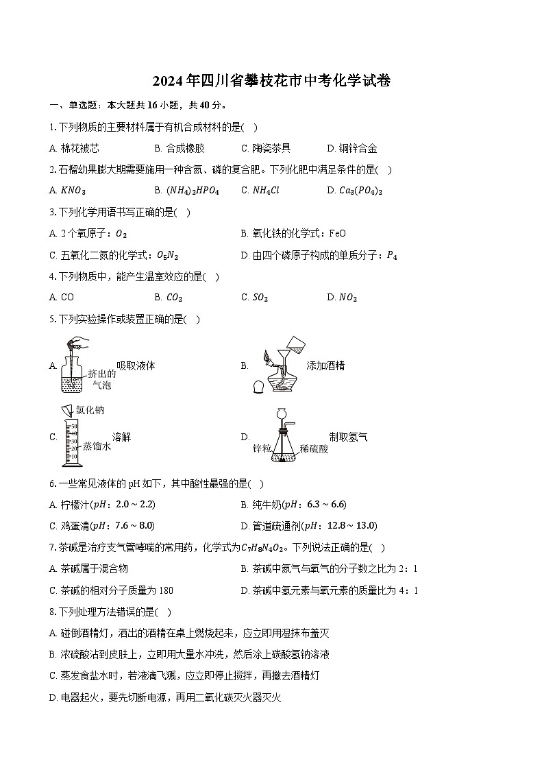 2024年四川省攀枝花市中考化学试卷(含详细答案解析)第1页