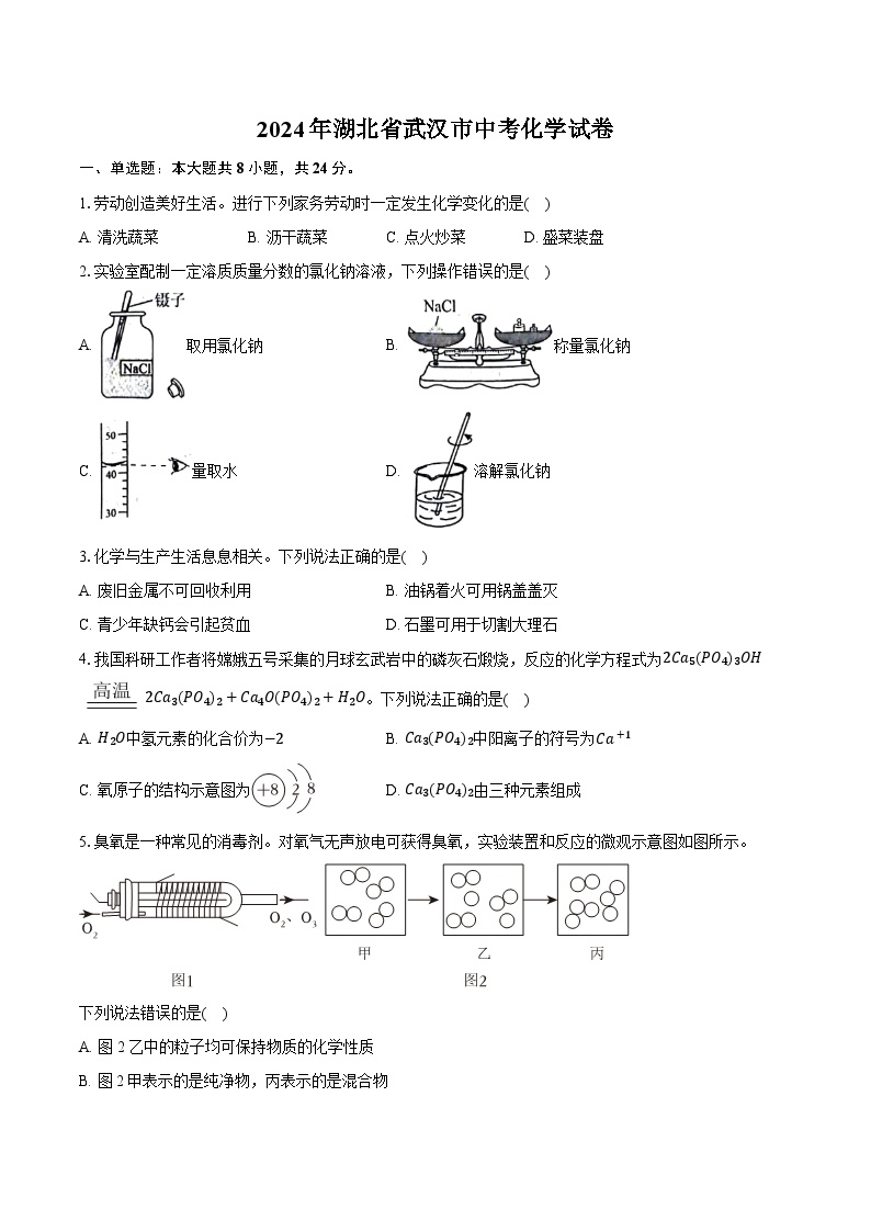 2024年湖北省武汉市中考化学试卷（含详细答案解析）