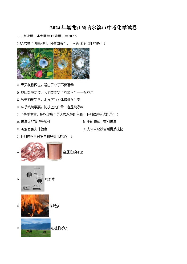 2024年黑龙江省哈尔滨市中考化学试卷（含详细答案解析）